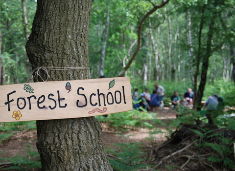 Belajar dari Alam: Filosofi Forest School yang Mulai Populer di Indonesia